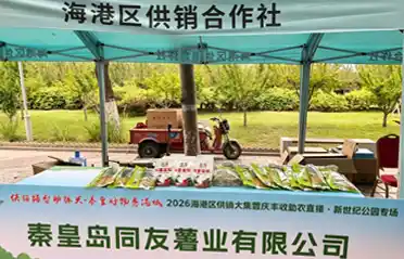 Blended Sweet Potato Starch ပျင်းနေပြီလား? 2026 Fair တွင် Tongyou သို့သွားရောက်လည်ပတ်ပါ။